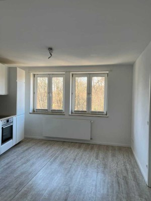1Zi Wohnung mit Blick in den Englischen Garten. EBK. Befristet 2/2027