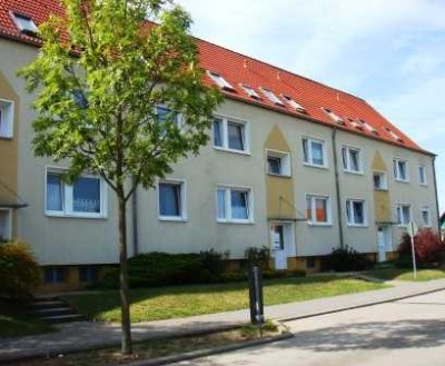 DI - helle 1-Zimmer-Wohnung  im Obergeschoss mit Blick auf die Wälder