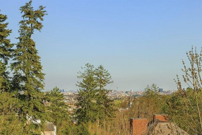Veitlissengasse - 2 Zimmer DG mit Balkon und Weitblick