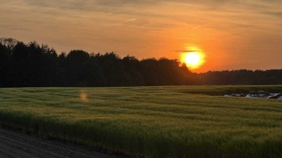 3-Zimmer Erdgeschoßwohnung (OT Eilvese) in sehr ruhiger Lage mit wunderschönem Ausblick!