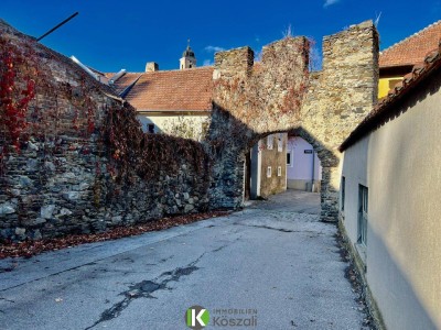 ALTBESTAND SAMT PROJEKT IN DER WACHAU BAUBEWILLIGT! Perfekte Lage im historischen Zentrum Krems Alt Rehberg, Teilbares Grundstück!