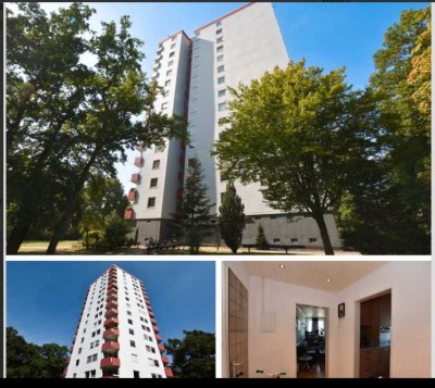 Naturnahe 2 Zimmer Wohnung in Wolfsburg
