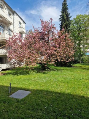 Schöne 2 ZKB in Bad Nauheim ab 01.01.2026 zu vermieten !