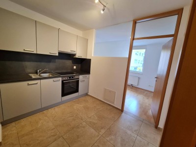 2 Zimmer Wohnung in der Anzengruberstraße