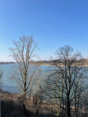 4-Zimmerwohnung mit unverbaubarem Rheinblick und Poolnutzung