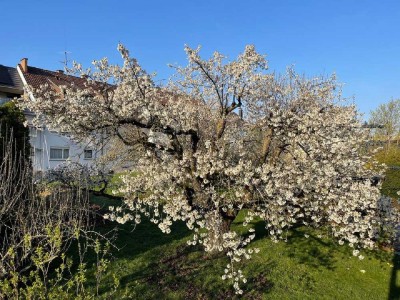 Freundliche und gepflegte 3-Zimmer-Hochparterre-Wohnung mit Einbauküche in Stuttgart
