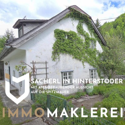 SACHERL IN HINTERSTODER MIT ATEMBERAUBENDER AUSSICHT AUF DIE SPITZMAUER