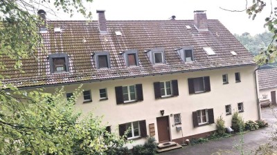 Wunderschöne, gepflegte Dachgeschosswohnung in Trausnitz - Frei!