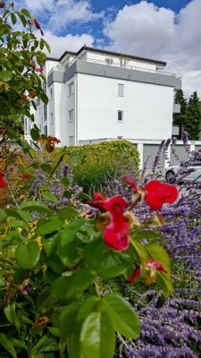 Renovierte 1-Zimmer-Wohnung mit Balkon in Leimen zu vermieten