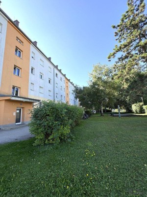 Koffer packen und einziehen