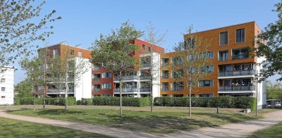 Modernisiertes Wohnen im schönen Detmerode // EG Wohnung 2