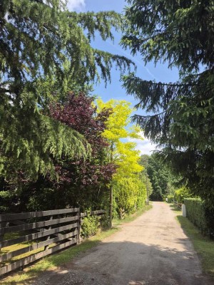 idyllisches Wochenendhaus unweit der Aller in der Südheide