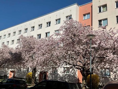 Schon gesehen? Schöne 2-Raum-Wohnung sucht neue Mieter