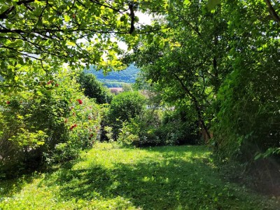 Kernsanierte Wohnung im 1.OG mit zwei Balkonen und Gartenanteil