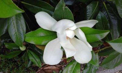 Nette Mieter [ max. 2 Pers. ] für schöne Wohnung im 2FH gesucht !