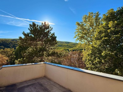 Adventsaktion: Provisionsfrei! Dachterrasse mit Grünblick I ca. 2.000 m² Gartenfläche zur Mitbenutzung I barrierefrei I ca. 3,20m Raumhöhe I