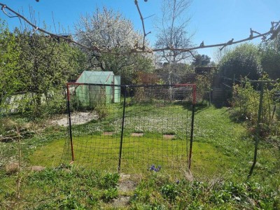 Doppelhaushälfte mit Gartenparadies für die Familie
