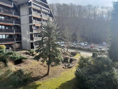 2-Zimmer-Wohnung mit Balkon und Einbauküche in Sasbachwalden