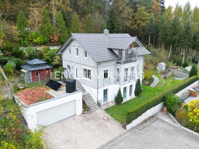 Traumhaus mit ELW und unverbaubarem Blick auf den Regen