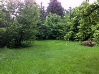 FEIERN SIE IM SOMMER 2027 GRILLPARTYS IM GARTEN IHRES EIGENEN HAUSES! TEL.: 01714863595