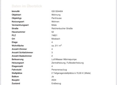 Luxuriöses 5-Zimmer Penthouse mit 211 m² in Mosbach