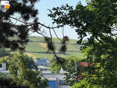 * Park und Weinbergblick *