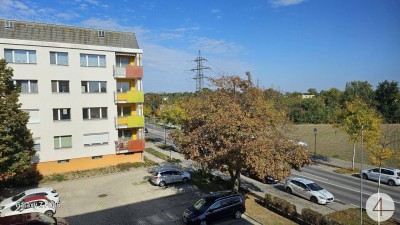 * frisch sanierte 3 Zimmer Wohnung in Laxenburg * - Loggia, KFZ Stellplatz inklusive!