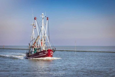 Ferienwohnung an der Nordsee in 26506 Norddeich / Ostfriesland