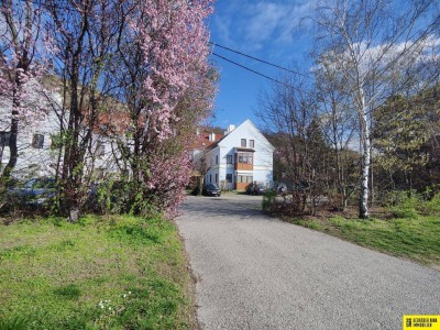 Dachgeschosswohnung in Bisamberg