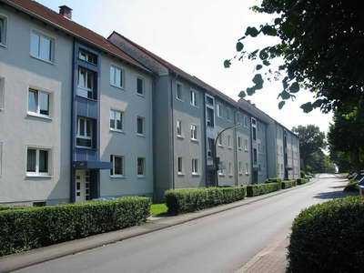 Schöne 3-Zimmer Wohnung mit Balkon in Bergkamen-Oberaden! Mit Laminat und Tapete