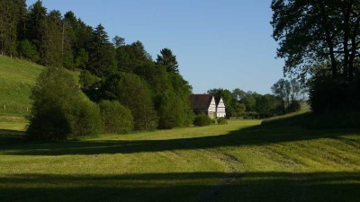 IDYLL IM GRÜNEN