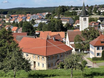 Hier Ihre Visionen verwirklichen! Gebäude mit Wohnungen-Werkstatt-ehem. Bewirtungsräume