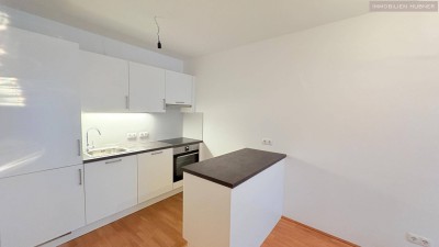 Terrassenwohnung und Alternative zu Wien Hauptbahnhof/ Stockerau in nur 40 Minuten