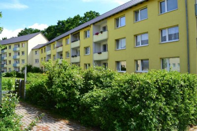 ***Frisch renovierte Wohnung mit Balkon***