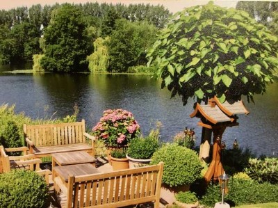 Haus am See im Alten Land