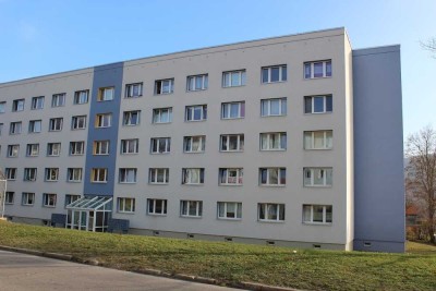 Neu Sanierte 1-Raum-Wohnung mit guter Verkehrsanbindung