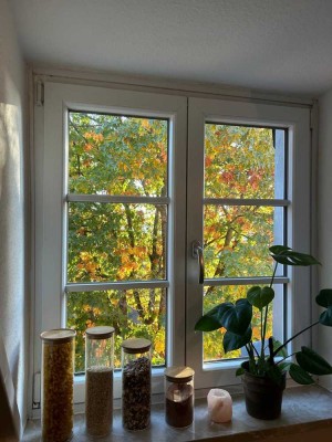 3 Zimmer Wohnung am Moritzberg