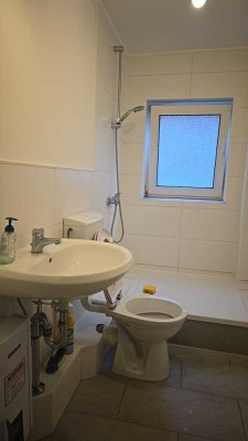 Freundliche und gepflegte 1-Raum-Wohnung in Salzgitter