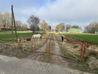 Ideal für Pferdehalter! Resthof mit Pferdeboxen und 4 ha Weideland am Haus! Odisheim