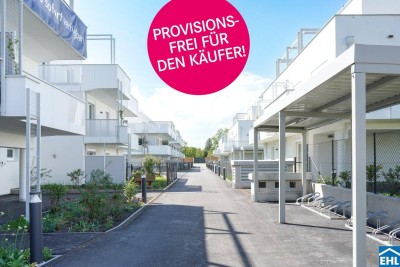 Ihr sonniges Zuhause inmitten der Weinberge – Wohnen, wo Träume reifen
