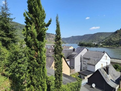 RESERVIERT - Wohnen wie im Süden! Haus mit unverbaubarem Rheinblick,Gewächshaus & exotischem Garten