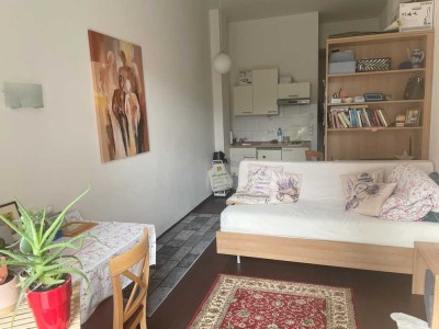 1-Zi-Wohnung in Bamberg auf der ERBA-Insel