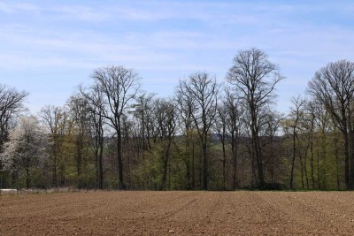 **LAGE LAGE LAGE** - ruhiges und naturnahes Wohnen mit UNVERBAUBAREM AUSBLICK AUF WALD UND FELDER