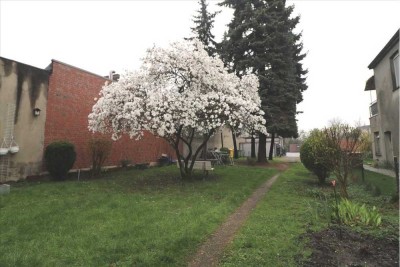 * NEST FÜR SINGLES MIT GARTENNUTZUNG! 2 ZI-DG Whg. in St. Tönis, Krefelder Str.  *