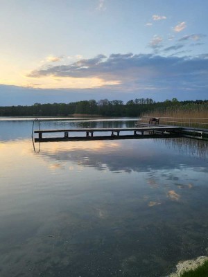 Naturnahes kleines Haus (60m²) auf großem (1.489m²) Grundstück sucht neuen Eigentümer