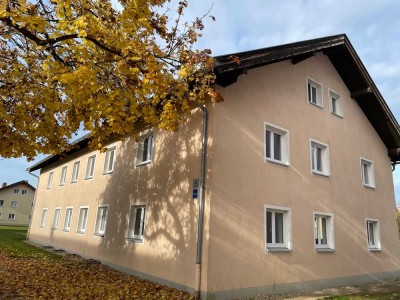 Weihnachten im neuen zu Hause!