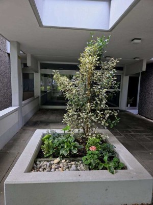 Penthouse-Feeling: Stilvoll sanierte 3-Zi-Whg mit Alpenblick und TG-Stellplatz