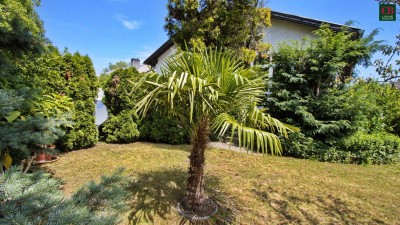 Großzügiges, familienfreundliches Haus mit Pool in Sollenau