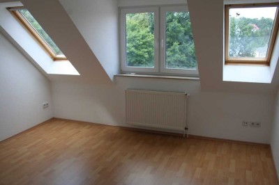 Schöne helle 3-Raumwohnung im DG