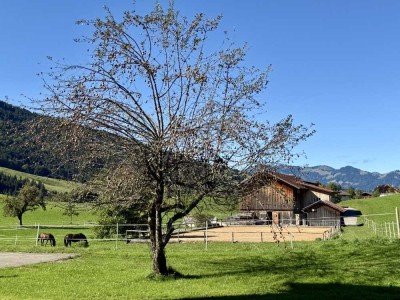 Hochparterre Wohlfühlwohnung im Hotel "Die Gams" in Bad Hindelang